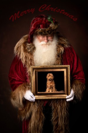 Rond kerstmis gingen de pups van Saar naar hun baasje. Op deze foto staat Saartje samen met Jip. Rond kerstmis gingen de pups van Saar naar hun baasje. Op deze foto staat Saartje samen met Jip.